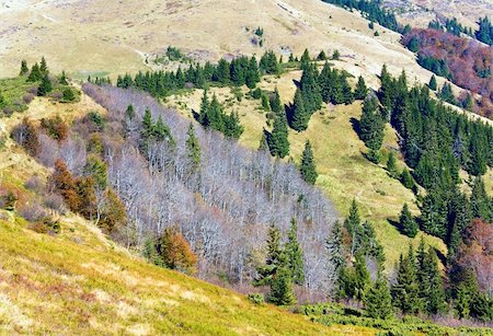 simsearch:400-07570603,k - Autumn mountains  with a stark bare trees on forest mountainside edge (Carpathian, Ukraine). Stock Photo - Budget Royalty-Free & Subscription, Code: 400-05386520