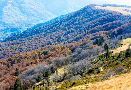 simsearch:400-04761029,k - Autumn mountains  with a stark bare trees on forest edge in front (Carpathian, Ukraine). Fotografie stock - Microstock e Abbonamento, Codice: 400-05386521