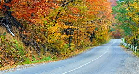 simsearch:6109-08944840,k - Autumn winding secondary road in the mountain forest Fotografie stock - Microstock e Abbonamento, Codice: 400-05386546