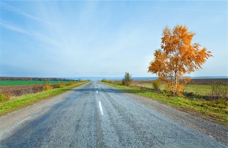 simsearch:6109-08944840,k - Autumn secondary country road and yellow birch on side Fotografie stock - Microstock e Abbonamento, Codice: 400-05386547