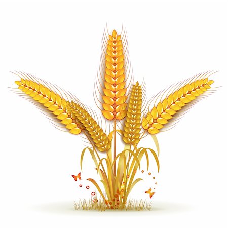 simsearch:400-05386614,k - Wheat sheaf arrangement Stock Photo - Budget Royalty-Free & Subscription, Code: 400-05386605