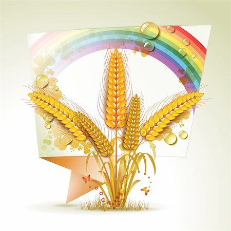 Origami background with wheat ears Stock Photo - Budget Royalty-Free & Subscription, Code: 400-05386602