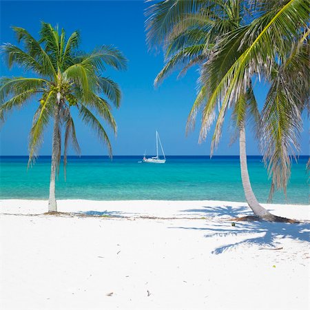 simsearch:400-06697564,k - Maria la Gorda Beach, Pinar del Rio Province, Cuba Stockbilder - Microstock & Abonnement, Bildnummer: 400-05387234