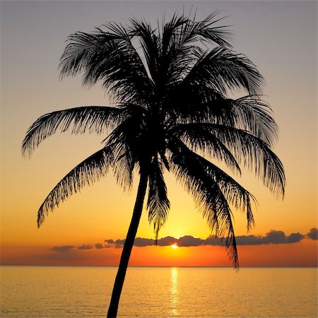simsearch:400-06697559,k - sunset over Caribbean Sea, Maria la Gorda, Pinar del Rio Province, Cuba Photographie de stock - Aubaine LD & Abonnement, Code: 400-05387230