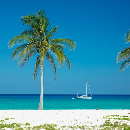 simsearch:400-06697559,k - Maria la Gorda Beach, Pinar del Rio Province, Cuba Photographie de stock - Aubaine LD & Abonnement, Code: 400-05387233