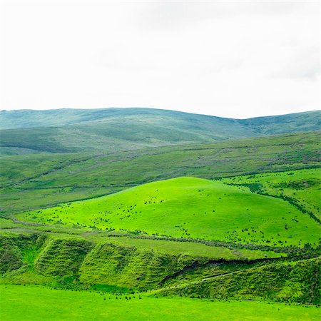 simsearch:400-05387259,k - Sperrin Mountains, County Tyrone, Northern Ireland Stock Photo - Budget Royalty-Free & Subscription, Code: 400-05387268