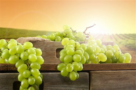 grape, grapes, food, fruit, eat, drink, wine, alcohol, smell, fresh, green, color, box, wooden, wood, desk, table, sun, light, sky, Foto de stock - Royalty-Free Super Valor e Assinatura, Número: 400-05387592