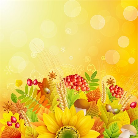 Autumn background with colorful leaves. Vector illustration. Stock Photo - Budget Royalty-Free & Subscription, Code: 400-05387737