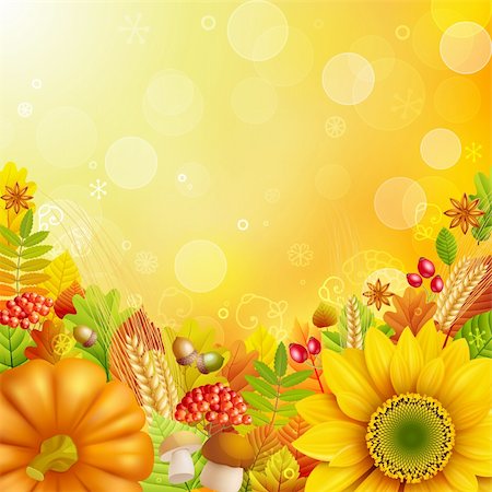 pumpkin leaf pattern - Autumn background with colorful leaves. Vector illustration. Photographie de stock - Aubaine LD & Abonnement, Code: 400-05387760