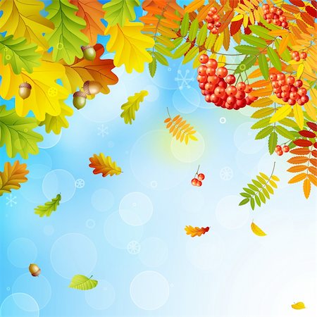 Autumn background with colorful leaves on sky and place for text. Vector illustration. Stock Photo - Budget Royalty-Free & Subscription, Code: 400-05387805