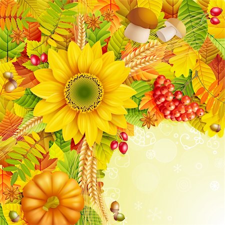 pumpkin leaf pattern - Autumn background with colorful leaves. Vector illustration. Foto de stock - Super Valor sin royalties y Suscripción, Código: 400-05387806