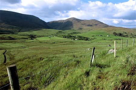 farm fence gate - scenic view in kerry ireland of rural homes dotted in the green countryside Photographie de stock - Aubaine LD & Abonnement, Code: 400-05380097