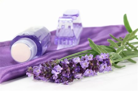 simsearch:400-05372314,k - one bunch of fresh lavender and shower on a white background Stockbilder - Microstock & Abonnement, Bildnummer: 400-05380205
