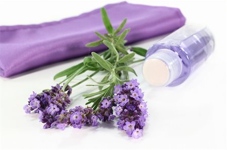 simsearch:400-05372314,k - one bunch of fresh lavender and shower on a white background Stockbilder - Microstock & Abonnement, Bildnummer: 400-05380206