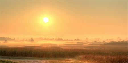 Fields in fog after sunrise Stock Photo - Budget Royalty-Free & Subscription, Code: 400-05380776