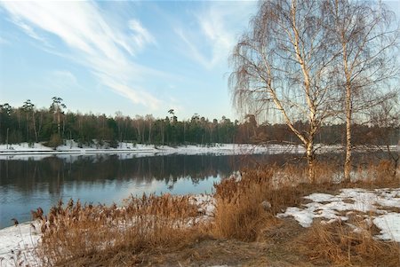 spring tree in north europe - Spring river Stock Photo - Budget Royalty-Free & Subscription, Code: 400-05381488