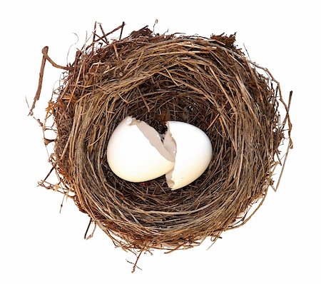 broken empty egg in nest isolated over white Photographie de stock - Aubaine LD & Abonnement, Code: 400-05381646