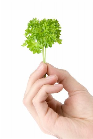 parsley Stock Photo - Budget Royalty-Free & Subscription, Code: 400-05382117