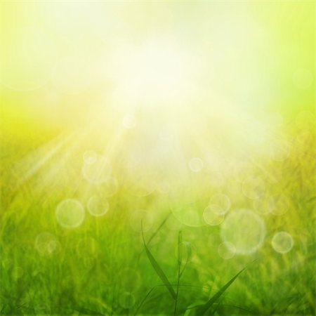 sunlight effect - Spring or summer heat abstract nature background with grass in the meadow and sunset with sun beams and bokeh lights in the back. View over field into sunshine Stock Photo - Budget Royalty-Free & Subscription, Code: 400-05382429