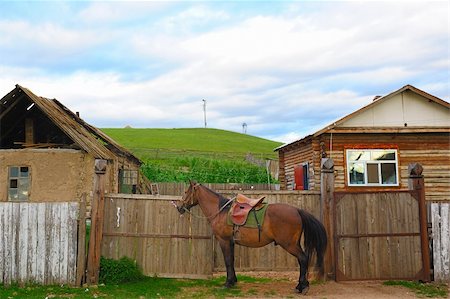 simsearch:400-04489243,k - A horse standing by the fence of the yard Photographie de stock - Aubaine LD & Abonnement, Code: 400-05382787