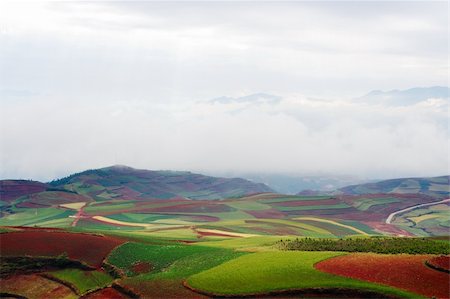 raywoo (artist) - Field landscape in Yunnan Province, southwest of China Fotografie stock - Microstock e Abbonamento, Codice: 400-05382796