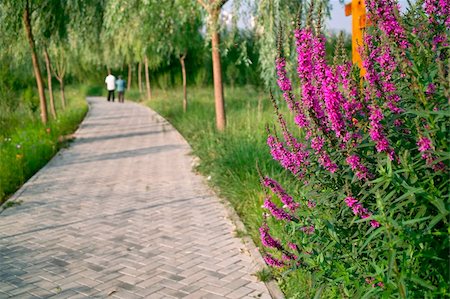 raywoo (artist) - Beartiful park with flowers in foreground and an elderly couple walking in background Fotografie stock - Microstock e Abbonamento, Codice: 400-05382803