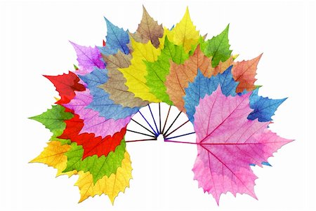 simsearch:400-04739592,k - Overlay multiple leaf color with a white background to make the leaves stand out. Stock Photo - Budget Royalty-Free & Subscription, Code: 400-05383077