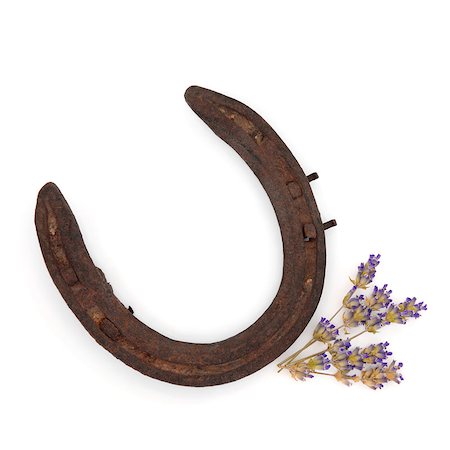 Rusty old horseshoe with lavender flower leaf sprigs isolated over white background. Stock Photo - Budget Royalty-Free & Subscription, Code: 400-05664087
