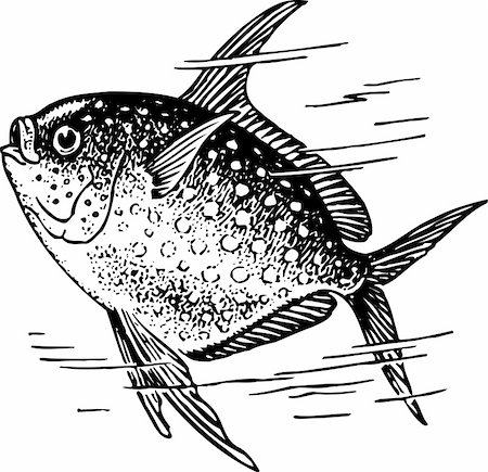 simsearch:400-05665760,k - Fish in the water Stock Photo - Budget Royalty-Free & Subscription, Code: 400-05665026