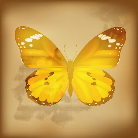 simsearch:400-08787096,k - Vintage Butterfly, Vector Illustration Photographie de stock - Aubaine LD & Abonnement, Code: 400-05669235