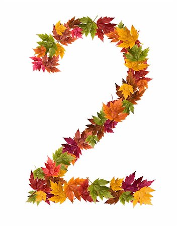 simsearch:400-05669514,k - Alphabet and numbers made from autumn maple tree leaves. Stock Photo - Budget Royalty-Free & Subscription, Code: 400-05669496