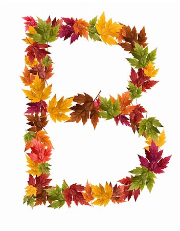 simsearch:400-05669514,k - Alphabet and numbers made from autumn maple tree leaves. Stock Photo - Budget Royalty-Free & Subscription, Code: 400-05669505