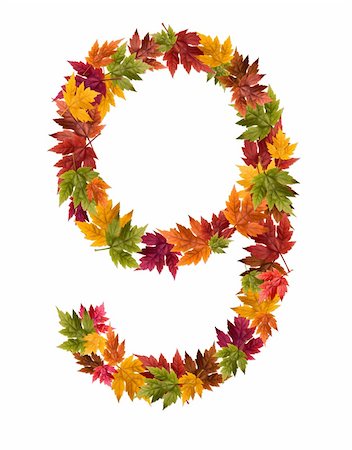 djm_photo (artist) - Alphabet and numbers made from autumn maple tree leaves. Stock Photo - Budget Royalty-Free & Subscription, Code: 400-05669503