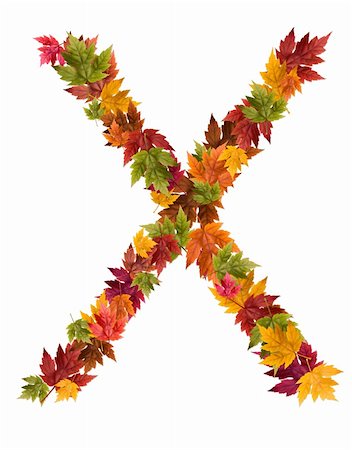 simsearch:400-05669514,k - Alphabet and numbers made from autumn maple tree leaves. Stock Photo - Budget Royalty-Free & Subscription, Code: 400-05669527