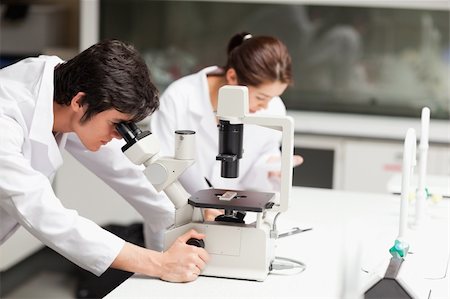 simsearch:400-05670478,k - Serious science students using a microscope in a laboratory Stock Photo - Budget Royalty-Free & Subscription, Code: 400-05669989