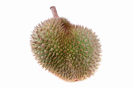 simsearch:400-09220883,k - durian isolated in white background Stock Photo - Budget Royalty-Free & Subscription, Code: 400-05663129