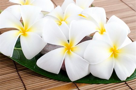 simsearch:400-04519023,k - frangipani tropical spa concept Stock Photo - Budget Royalty-Free & Subscription, Code: 400-05663149
