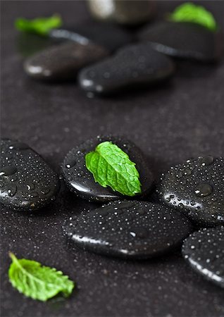 simsearch:400-04640528,k - Group of black pebbles with rain drops and green fresh leafs Stock Photo - Budget Royalty-Free & Subscription, Code: 400-05663454