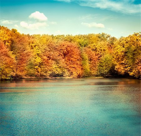 simsearch:400-05732419,k - Nature landscape with beautiful lake in autumn with colorful trees and blue sky with cloudscape in the background. Fotografie stock - Microstock e Abbonamento, Codice: 400-05674135