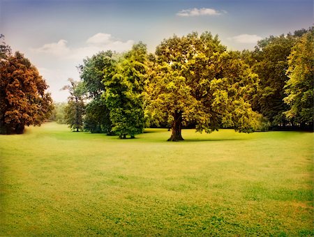 simsearch:400-07255480,k - Autumn trees with beautiful pastel colors. Nature landscape background with green meadow and trees in fall Stock Photo - Budget Royalty-Free & Subscription, Code: 400-05674133