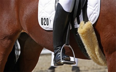 estribo - Human leg in boot on horseback Foto de stock - Super Valor sin royalties y Suscripción, Código: 400-05674284