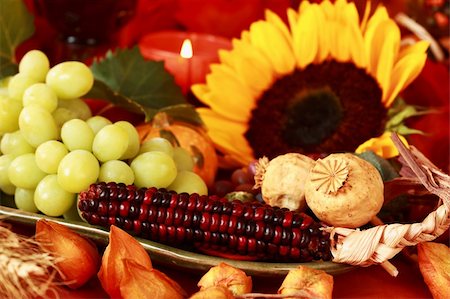 Still life and harvest or table decoration for Thanksgiving Stockbilder - Microstock & Abonnement, Bildnummer: 400-05674536