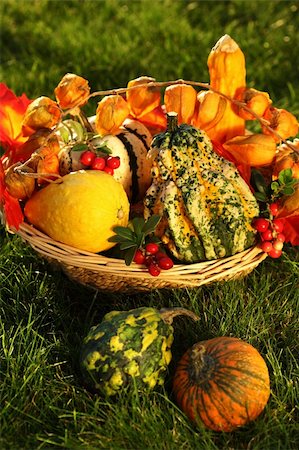 simsearch:400-05674539,k - Still life of pumpkins for Thanksgiving Stock Photo - Budget Royalty-Free & Subscription, Code: 400-05674566