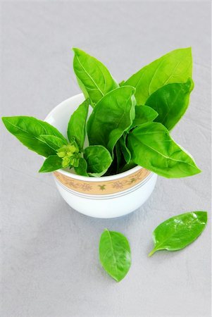 scattered spices - fresh basil leaves in a white porcelain bowl over gray background Stock Photo - Budget Royalty-Free & Subscription, Code: 400-05674655