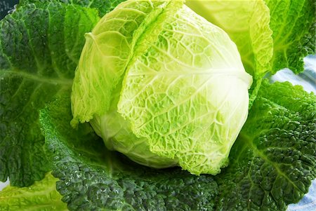 savoy head - one green fresh appetizing organic savoy cabbage Foto de stock - Super Valor sin royalties y Suscripción, Código: 400-05674662
