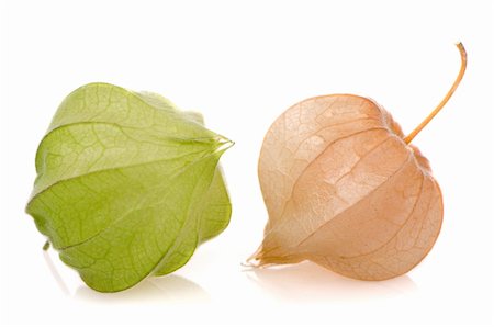 food photography physalis - Physalis fruits on a white background . Stock Photo - Budget Royalty-Free & Subscription, Code: 400-05674693