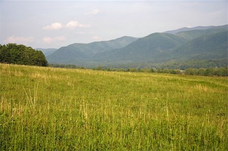 Great Smokey Mountains National Park, Tennessee Stock Photo - Budget Royalty-Free & Subscription, Code: 400-05675456