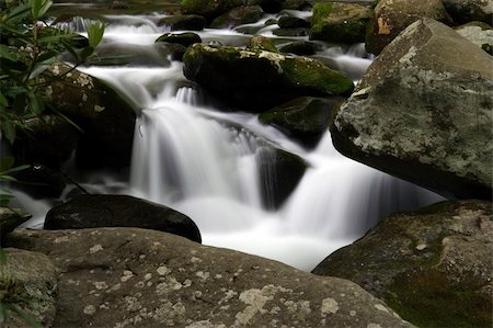 Great Smokey Mountains National Park, Tennessee Photographie de stock - Aubaine LD & Abonnement, Code: 400-05675536