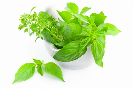 rosemary sprig - Fresh basil  herbs whith mortar and pestle / isolated on white Stock Photo - Budget Royalty-Free & Subscription, Code: 400-05675867