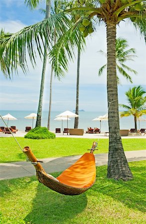 Empty hammock between palms trees Stockbilder - Microstock & Abonnement, Bildnummer: 400-05676022